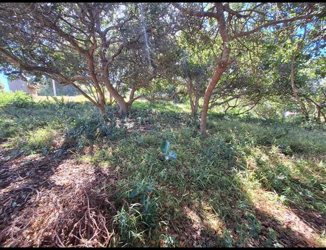 LAND FOR SALE IN BERGSIG